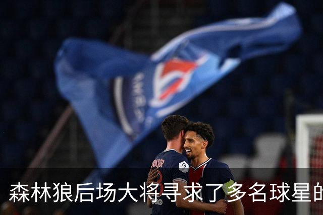 森林狼后场大将寻求了多名球星的意见，他为自己的恢复设定了期限